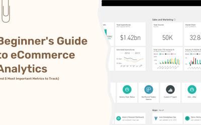 Beginner’s Guide to eCommerce Analytics