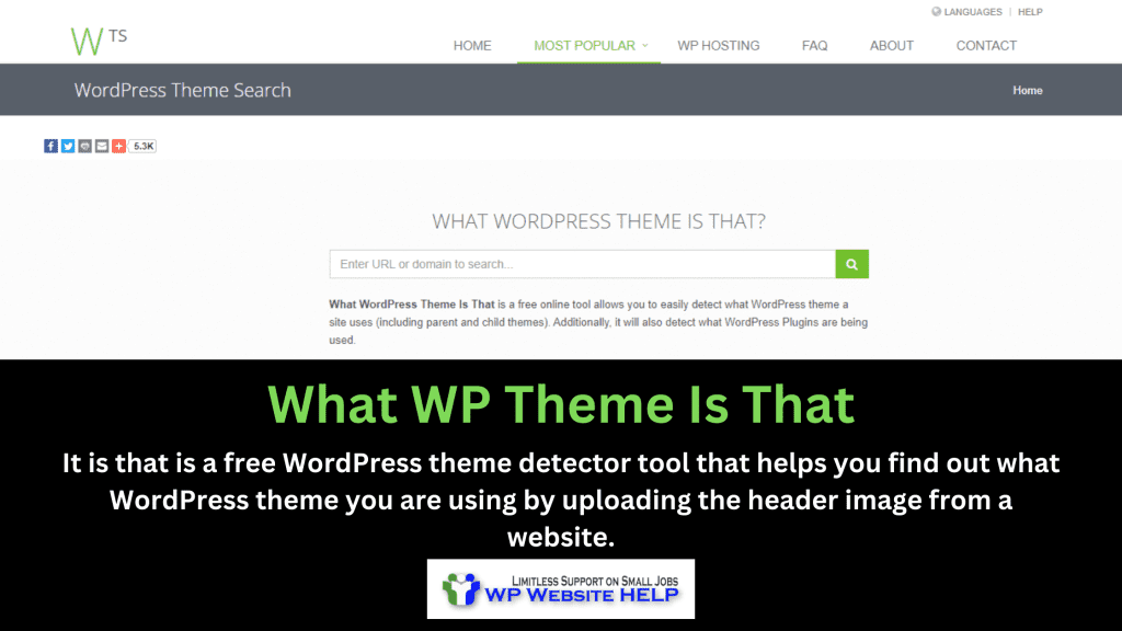 What WP Theme Is That